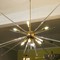 Brass and glass sputnik ceiling light
