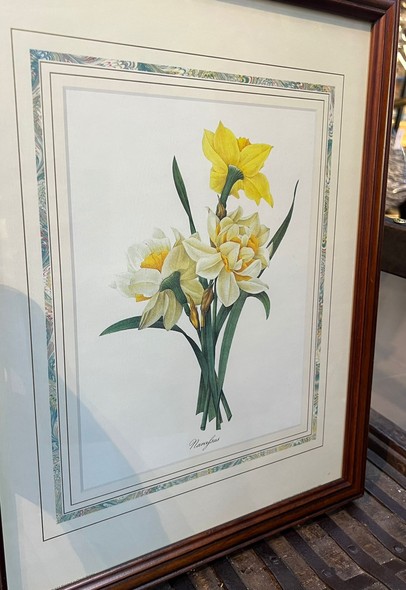Paired engravings "Daffodils and Irises"