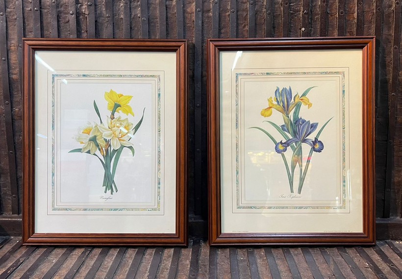 Paired engravings "Daffodils and Irises"