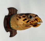 Sea turtle head Sea turtle head