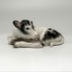 Vintage "Calf" figurine