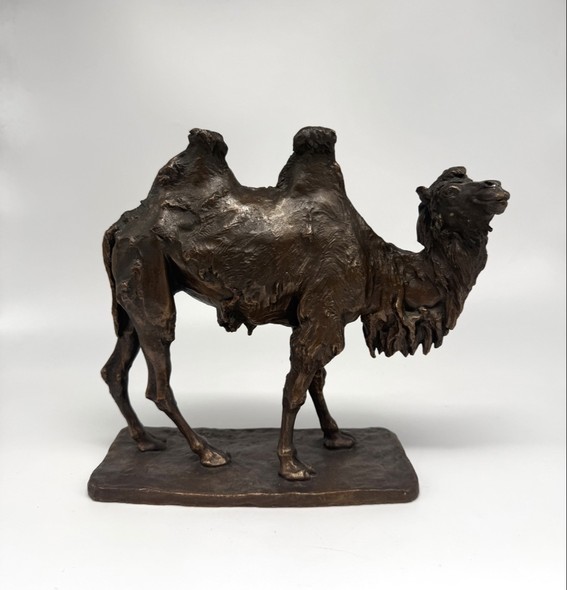 Антикварная скульптура
«Двугорбый верблюд»