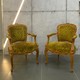 Vintage pair of armchairs, Louis XV