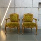 Vintage pair of armchairs, Louis XV